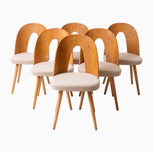 Mid-Century Esszimmerstühle von Antonín Šuman, 1960er, 6er Set