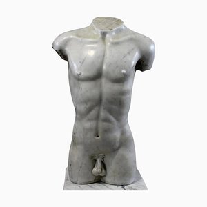 19th Century Italian Torso in Carrara Marble