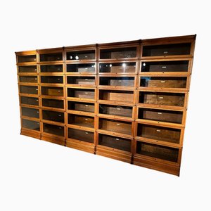 Large Globe Wernicke Bookcase