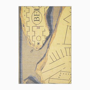 Belgian Rug by Stefano Arienti