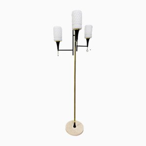 Vintage Floor Lamp with Opal Glass, 1960s