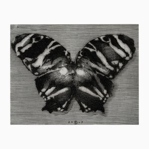 Krzysztof Skórczewski, Mariposa paradisíaca, Aguafuerte sobre papel, 2007