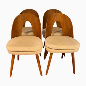 Mid-Century Dining Chairs by Antonín Šuman for Tatra Furniture, 1960s, Set of 4