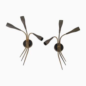 Applique Mid-Century Spider, Francia, anni '50, set di 2