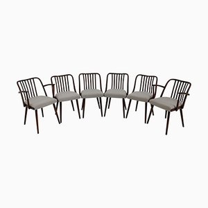 Beech Dining Chairs by Antonin Suman for Thonet, 1960s, Set of 6