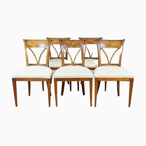 Vintage Elm Chairs in White Upholstery, 1950s, Set of 5