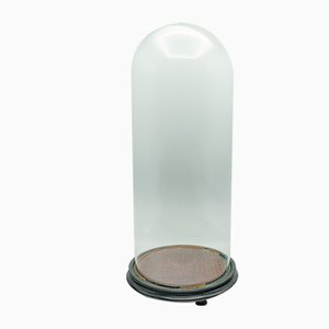 Large Antique English Display Dome