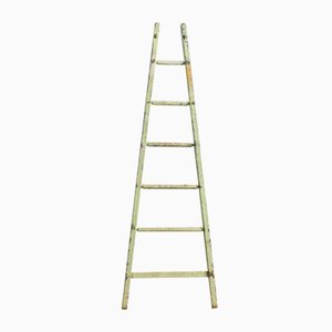 Vintage French Painted Ladder, 1950s