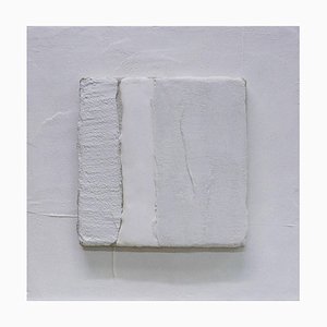 Gilbert Pauli, Nacimiento y duelo No.1, Acrílico sobre yeso, 2009