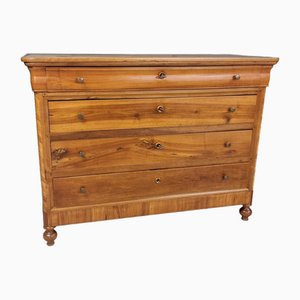 Veneto Chest of Drawers in Light Walnut and Cherry, 1850s