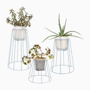 Taubenblaue Cibele Pflanzenständer von OK Design, 3 . Set