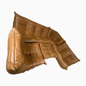 Brown Leather Togo Sofa Set by Michel Ducaroy for Ligne Roset, Set of 5