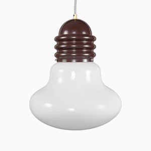 Large Italian Bulb Shaped Pendant Lamp by Enrico Tronconi, 1970s