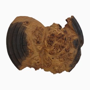 Mike Chai, Very Large Wall Sculpture, 1980, Burr Oak