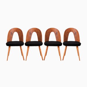 Mid-Century Dining Chairs by A. Suman, 1960s, Set of 4
