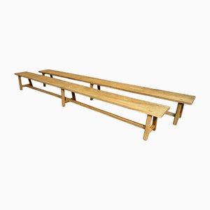 Set of Very Long Oak Dining Benches, 1930