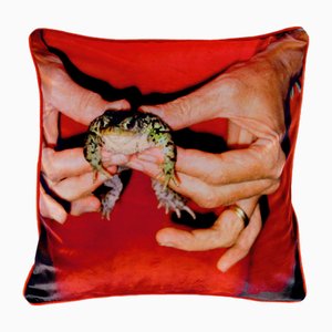 Gently Holding Frog Cushion after Mary McCartney by Henzel Studio