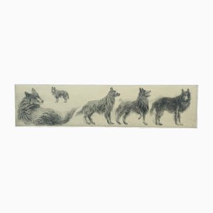 Pawel Zablocki, Second Assiette with Five Belgian Sheep Dogs, 2009, Eau-forte & Papier