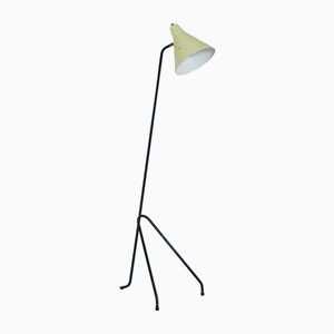 Grasshopper Floor Lamp by Willem Van Doorn, 1960s