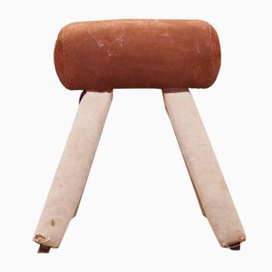 Vintage Gymnastic Horse, 1980s