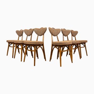 Chaises Modèle No. 124 attribuées à Helena & Jerzy Kurmanowicz, Pologne, 1960s, Set de 6
