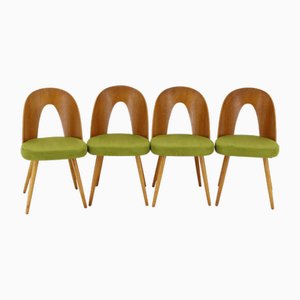 Dining Chairs by Antonin Suman, 1960s, Set of 4
