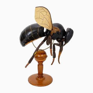 Large Didactical Model of a Bee, 1950