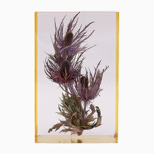 French Panicaut Des Alpes Resin Paperweight by Pierre Bodin, 1980s