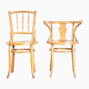 Sillas de comedor Debrecen Blonde de madera curvada, años 50. Juego de 6