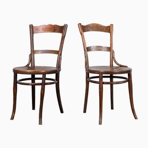 Antike Esszimmerstühle aus Bugholz, 1890er, 2er Set