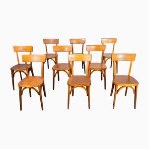 Honey Colour Bentwood Dining Chairs from Baumann, 1950s, Set of 9