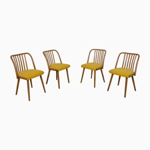 Dining Chairs by Antonín Šuman for Ton, 1960s, Set of 4
