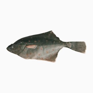 Passera di mare nr. 282 antica di Erik Nielsen per Royal Copenhagen, inizio XX secolo