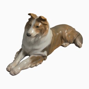 Porcelain Collie Dog No.1701 by Peter Herold for Royal Copenhagen, Early 1900s