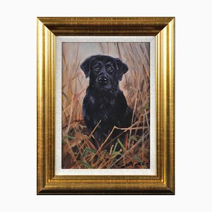 John Trickett, Ritratto di cane, Fine XX secolo, Dipinto ad olio, Incorniciato