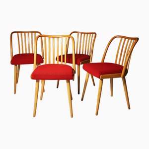 Sillas de comedor Mid-Century de Antonín Šuman, años 60. Juego de 4