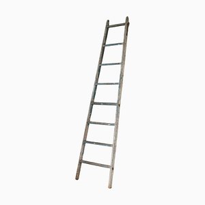 Antique Wooden Ladder in Weathered Paint, 1930s