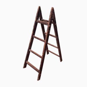Antique Decorative Wooden Ladder, 1910s