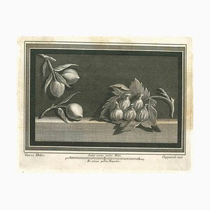 Francesco Cepparuli, Ancient Roman Fresco, Original Etching, 18th Century