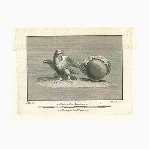 Vincenzo Aloja, Ancient Roman Fresco of Animals, Original Etching, 18th Century