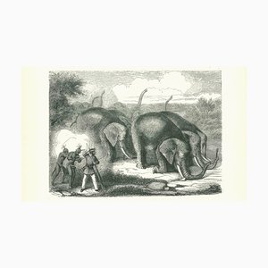 Paul Gervais, The Elephant Hunting, Original Lithograph, 1854
