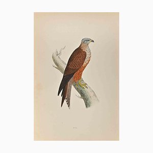 Alexander Francis Lydon, Kite, Woodcut Print, 1870
