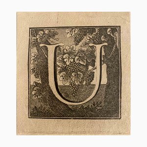Luigi Vanvitelli, Letter of the Alphabet U, Etching, 18th Century