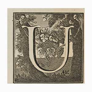 Luigi Vanvitelli, Letter of the Alphabet U, Etching, 18th Century