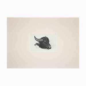 Después de Charles Coleman, The Buffalo, Grabado