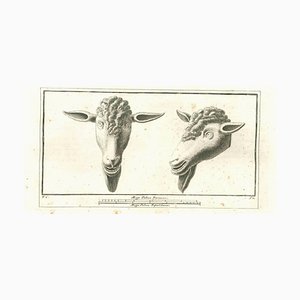 Vincenzo Campana, Ancient Roman Statues, Original Etching, 18th Century
