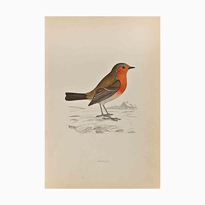 Alexander Francis Lydon, Redbreast, Woodcut Print, 1870