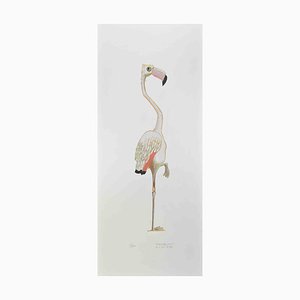 Alberto Mastroianni, Flamingo, Lithograph, 1970s