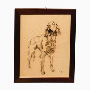 Sirio Tofanari, Setter, Drawing, 1920s