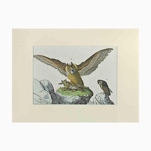 Johann Friedrich Naumann, Great Owl, Etching, 1840